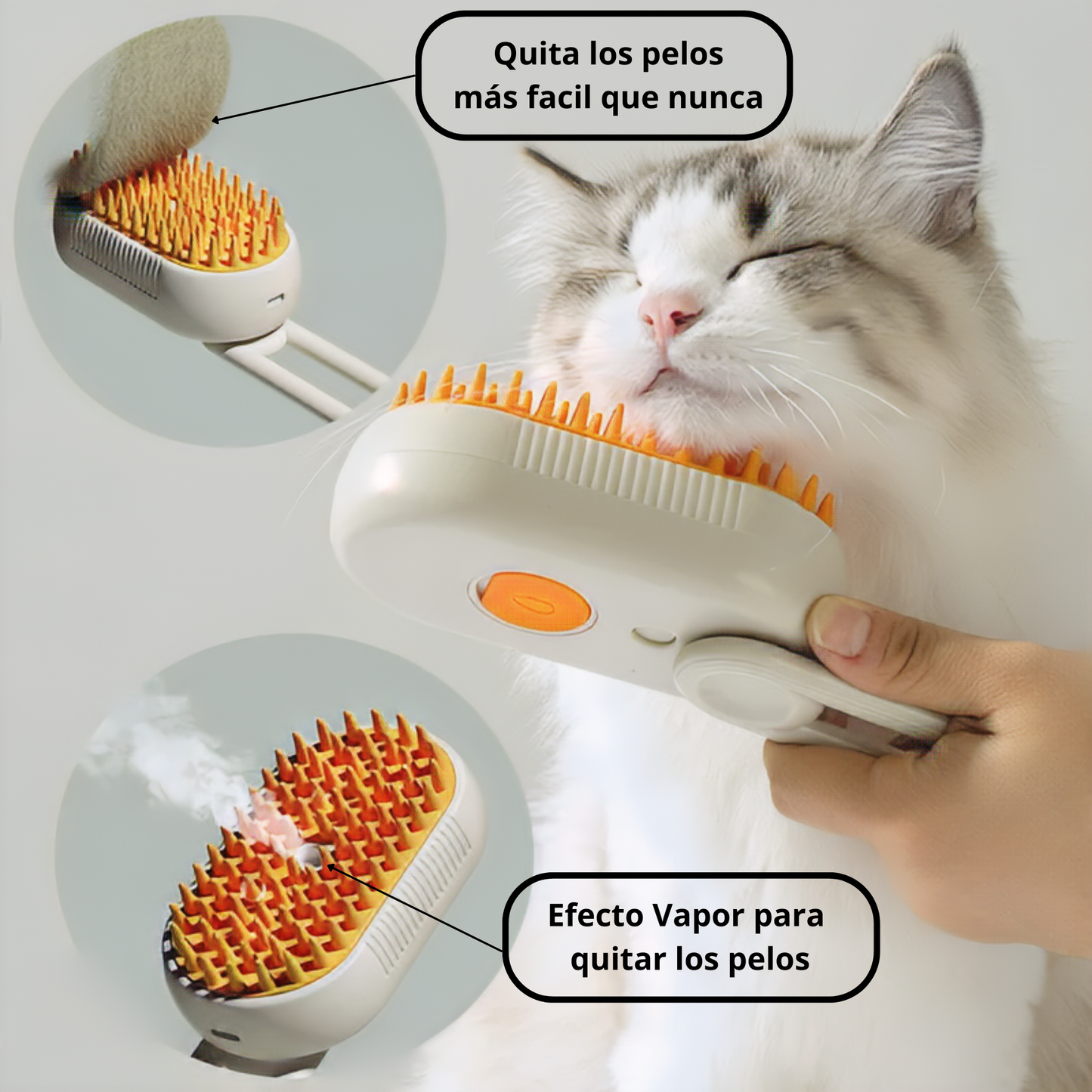 PetCleanerSpa